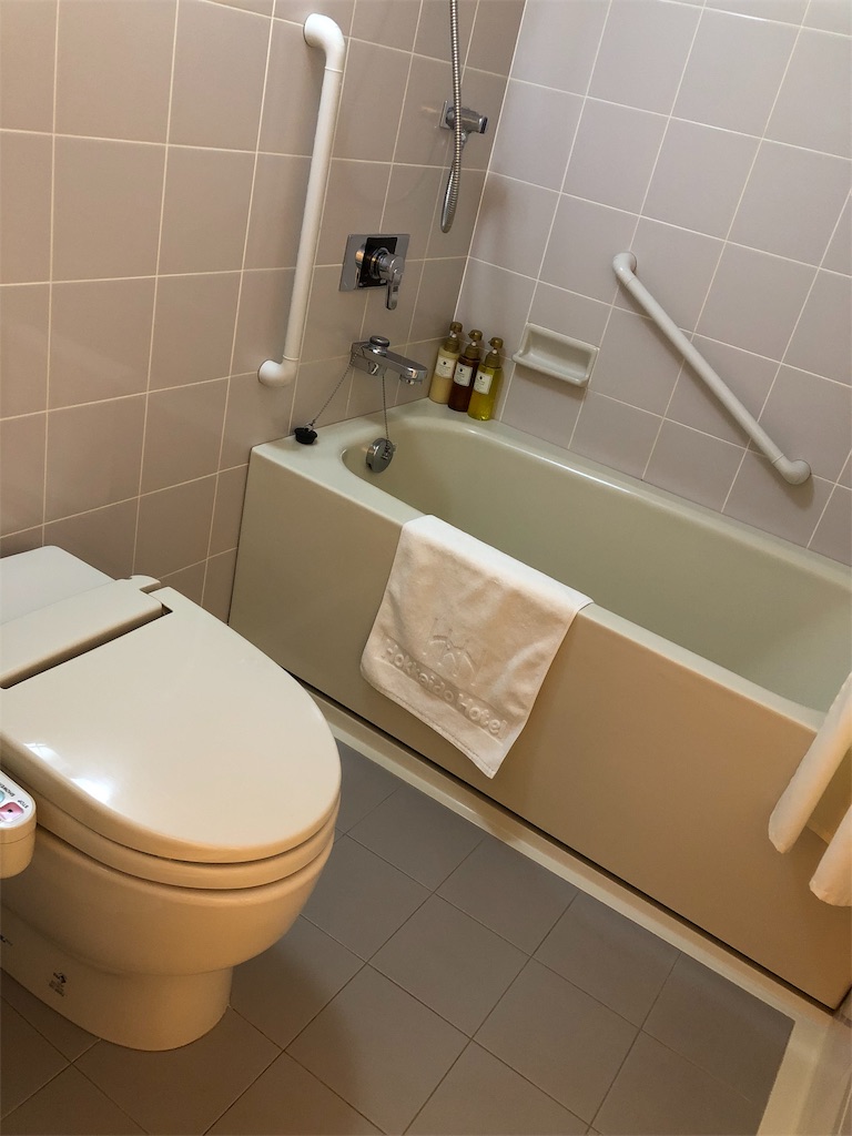 f:id:chiki-chiki_odekake:20190318230956j:image