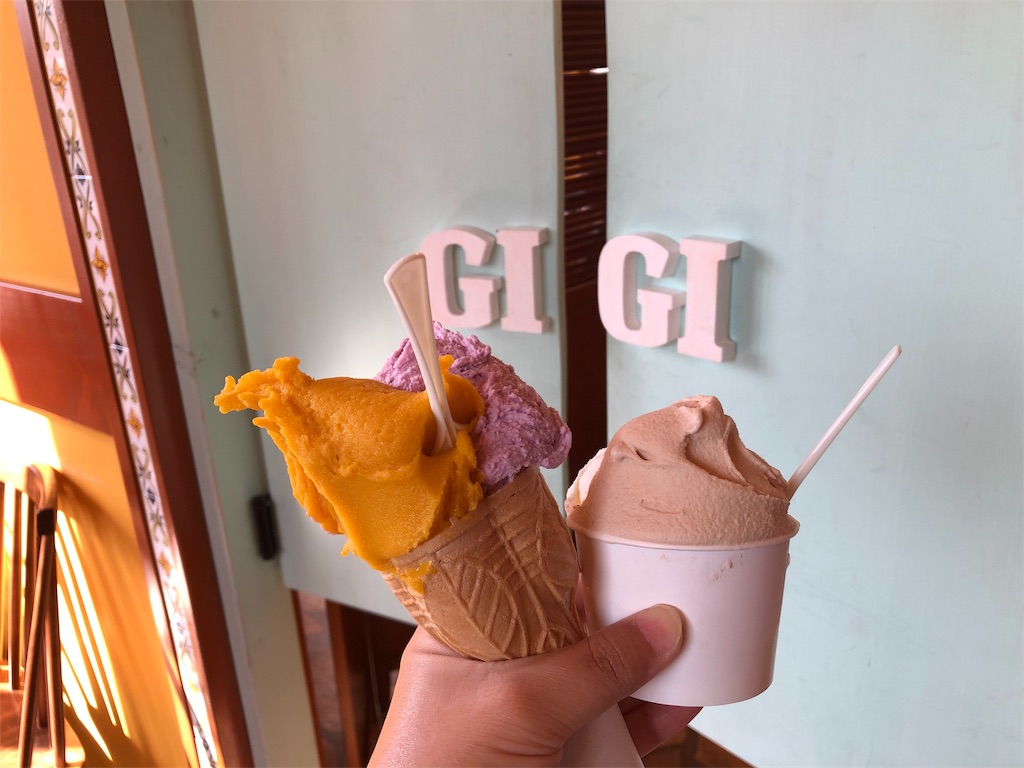 f:id:chiki-chiki_odekake:20190530210341j:image