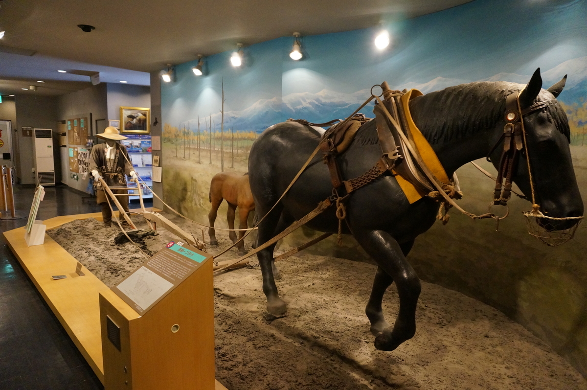 f:id:chiki-chiki_odekake:20190608163236j:plain