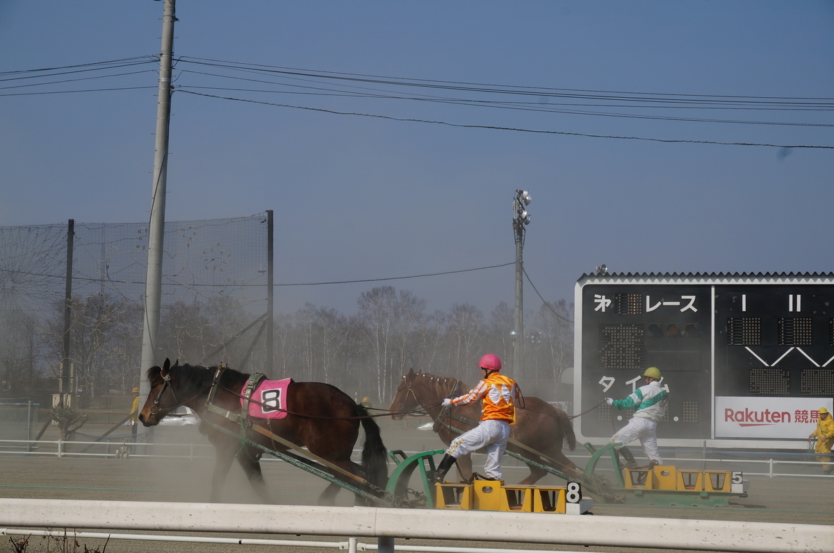 f:id:chiki-chiki_odekake:20190608163747j:plain