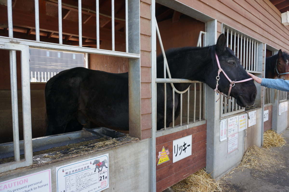 f:id:chiki-chiki_odekake:20190608163825j:plain