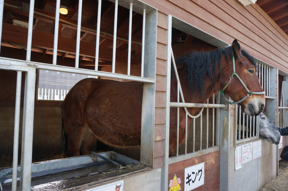 f:id:chiki-chiki_odekake:20190608163841j:plain