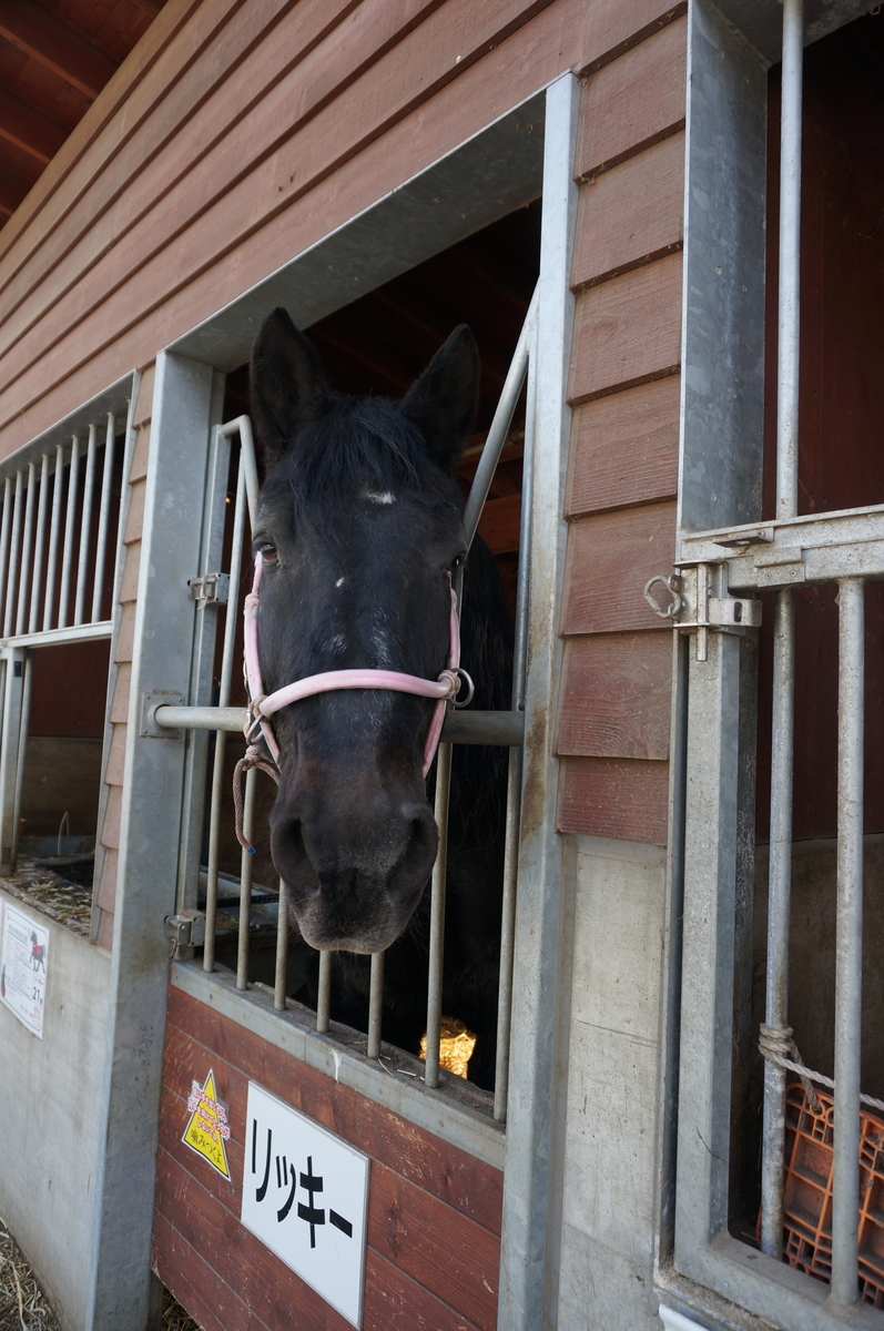 f:id:chiki-chiki_odekake:20190608163858j:plain