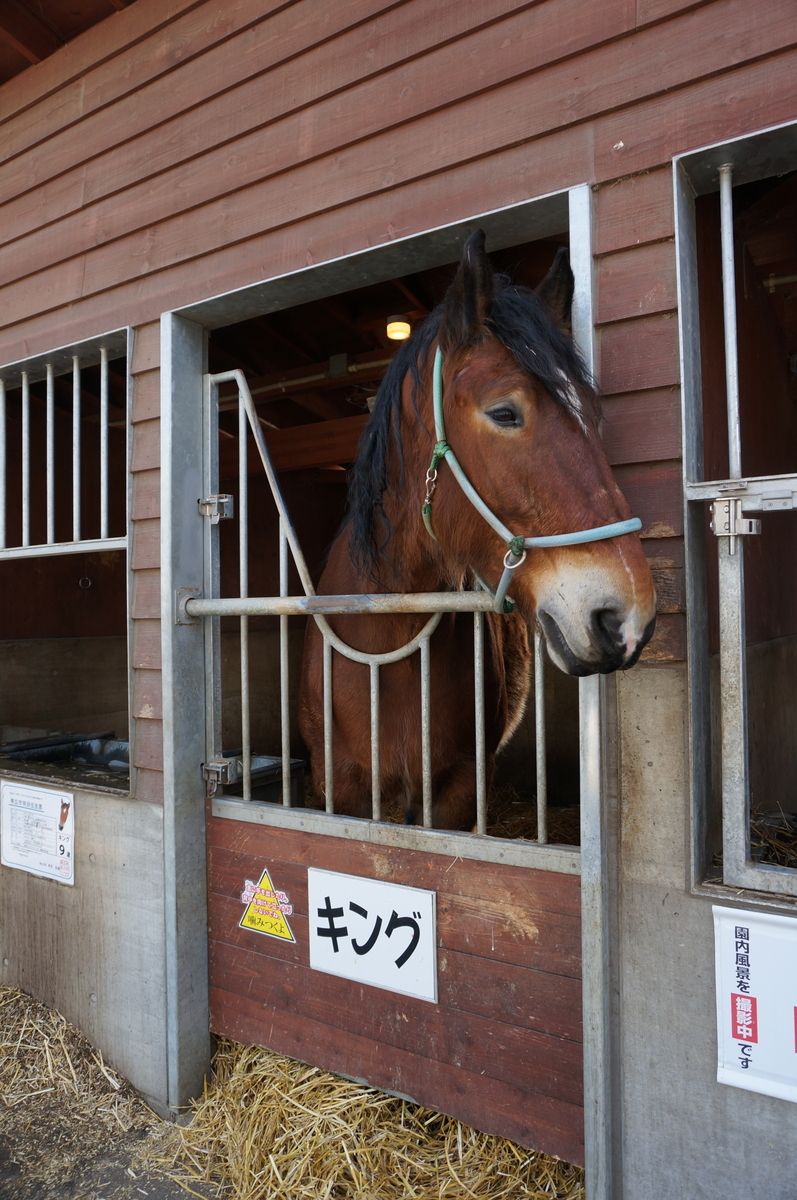 f:id:chiki-chiki_odekake:20190608163915j:plain