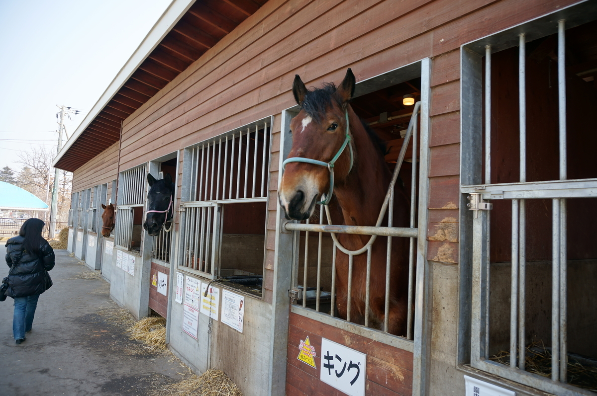 f:id:chiki-chiki_odekake:20190608163951j:plain