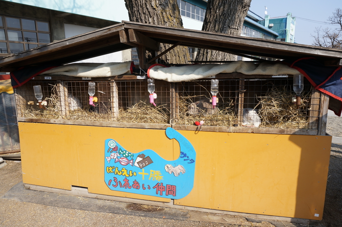 f:id:chiki-chiki_odekake:20190608164040j:plain