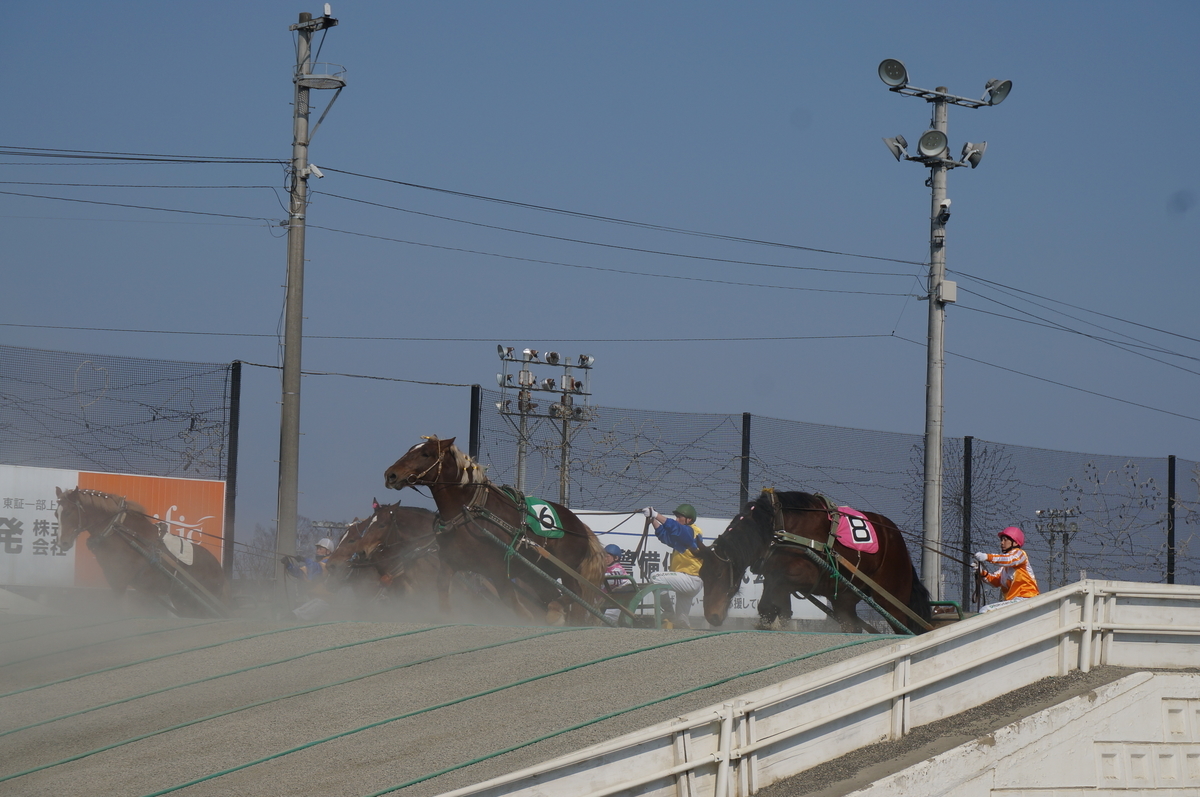 f:id:chiki-chiki_odekake:20190608164146j:plain