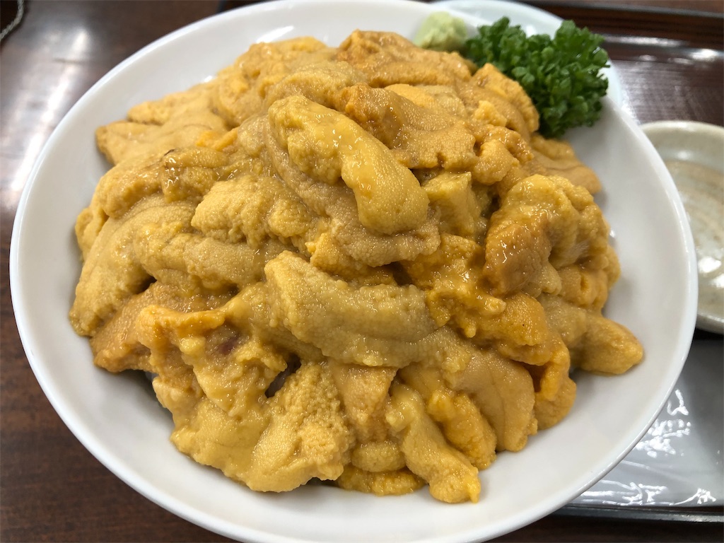f:id:chiki-chiki_odekake:20190809211731j:image