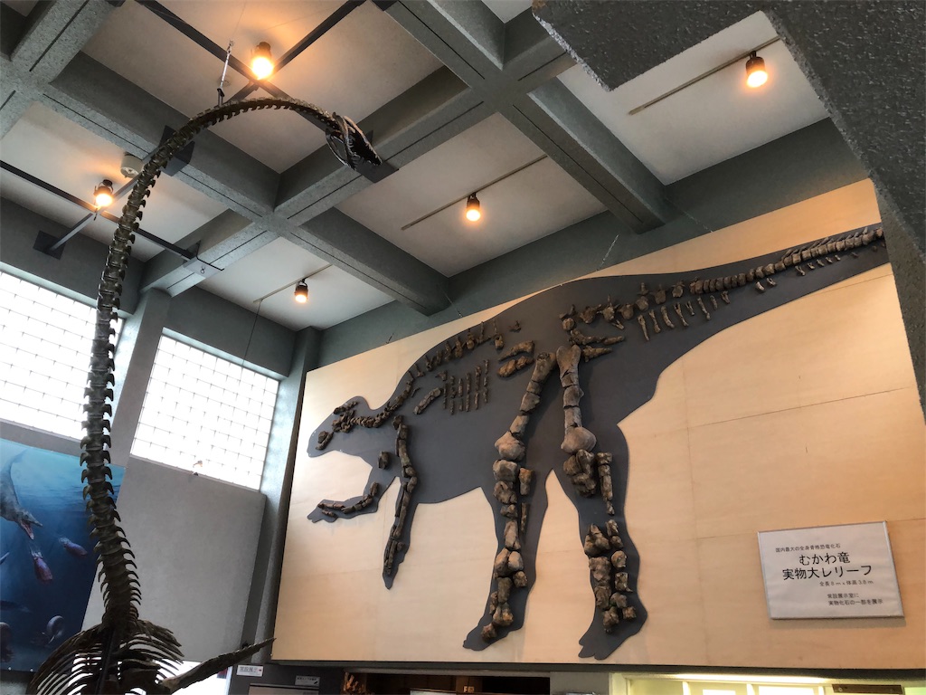 f:id:chiki-chiki_odekake:20190818000601j:image f:id:chiki-chiki_odekake:20190818000601j:image