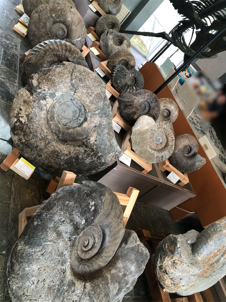 f:id:chiki-chiki_odekake:20190825081321p:image f:id:chiki-chiki_odekake:20190825081321p:image