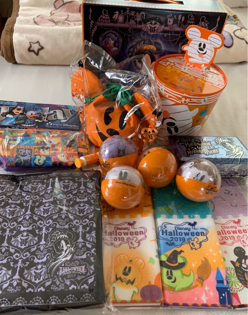 f:id:chiki-chiki_odekake:20191117235332j:image f:id:chiki-chiki_odekake:20191117235332j:image