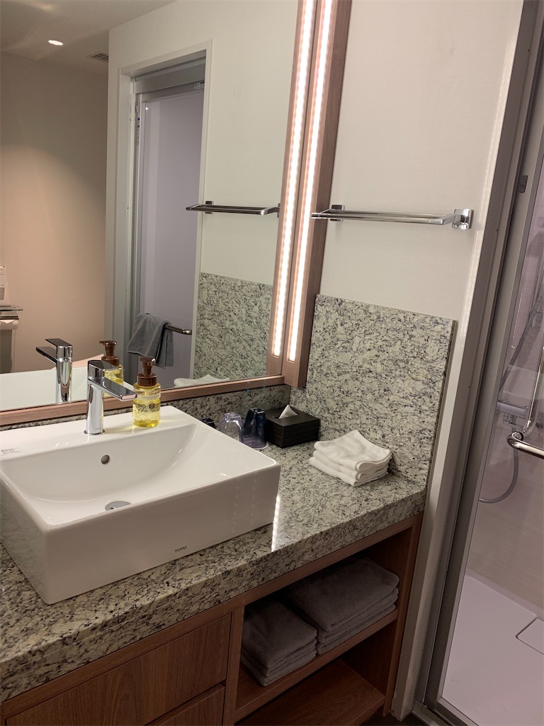 f:id:chiki-chiki_odekake:20200119165459j:image