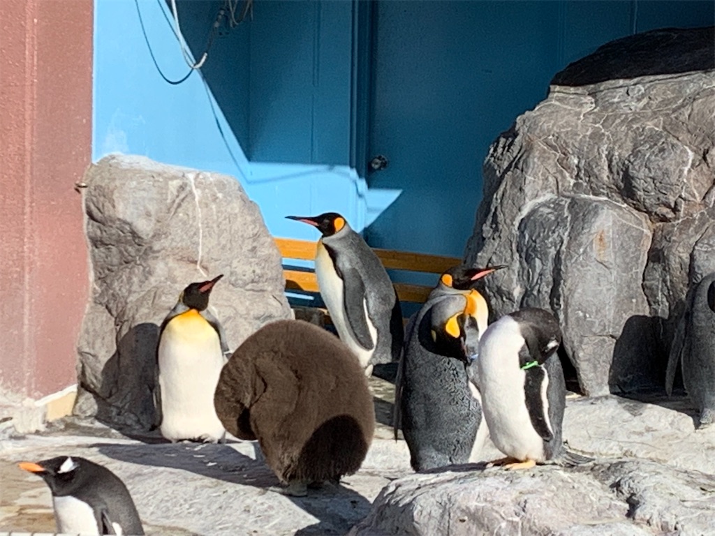 f:id:chiki-chiki_odekake:20200430130035j:image f:id:chiki-chiki_odekake:20200430130035j:image