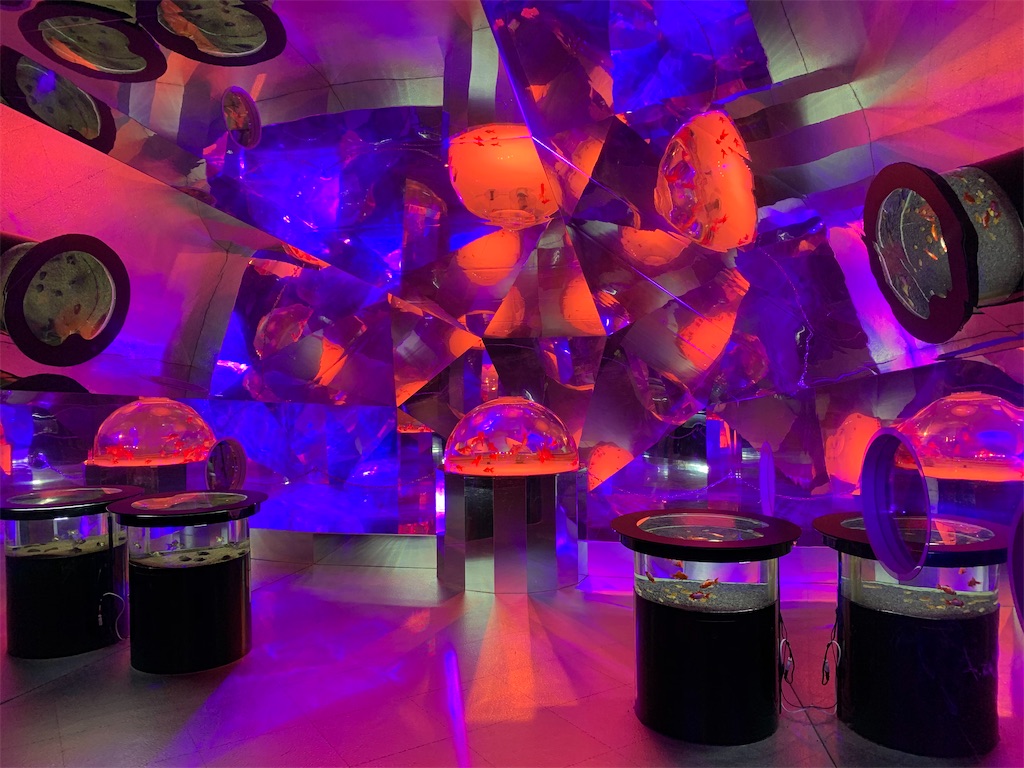 f:id:chiki-chiki_odekake:20200501084804j:image f:id:chiki-chiki_odekake:20200501084804j:image