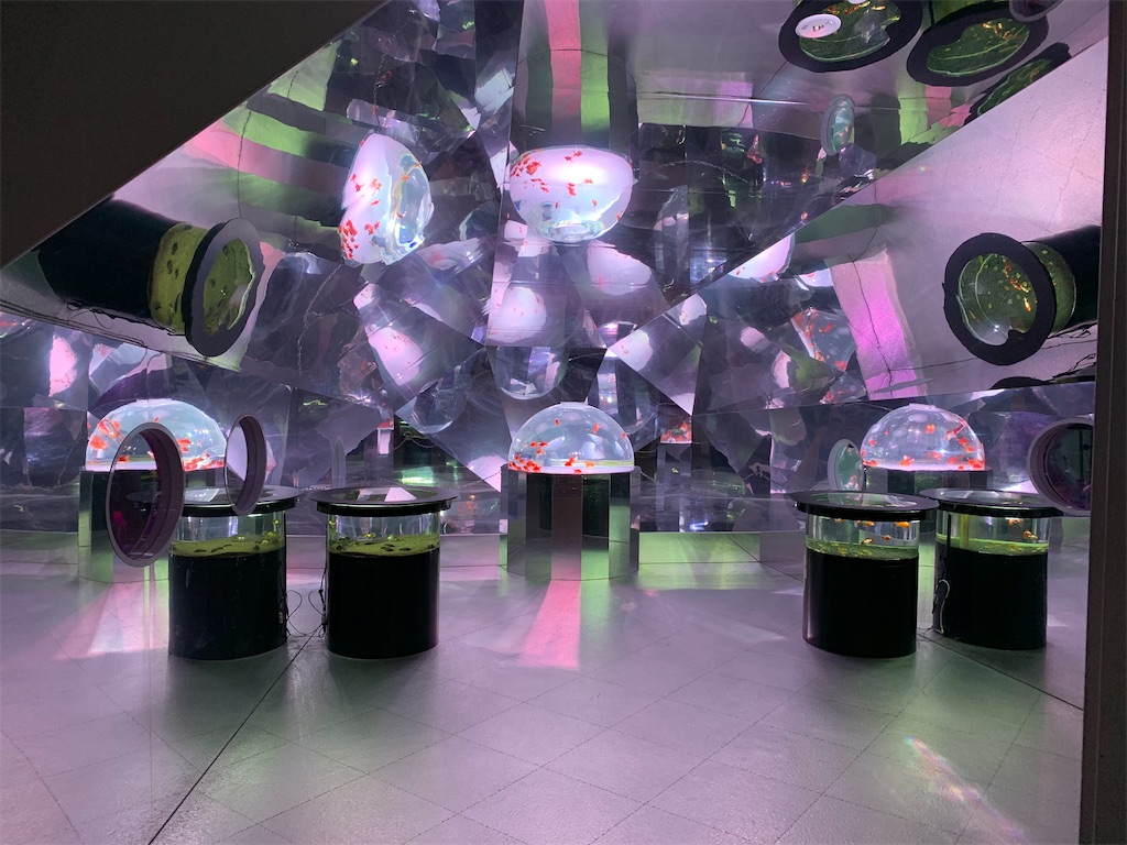 f:id:chiki-chiki_odekake:20200501084808j:image f:id:chiki-chiki_odekake:20200501084808j:image