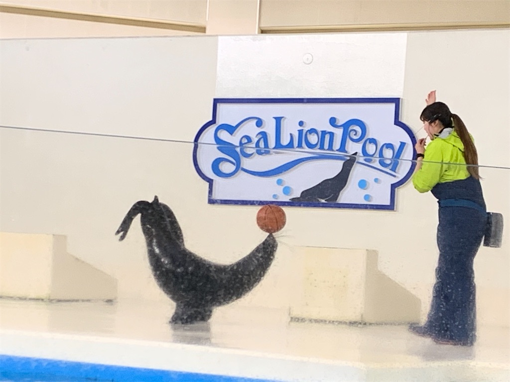 f:id:chiki-chiki_odekake:20200501085432j:image f:id:chiki-chiki_odekake:20200501085432j:image