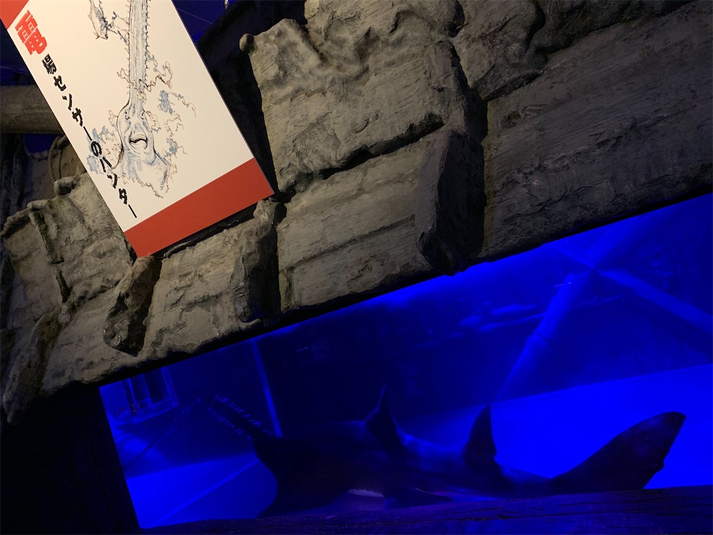 f:id:chiki-chiki_odekake:20200501085438j:image f:id:chiki-chiki_odekake:20200501085438j:image