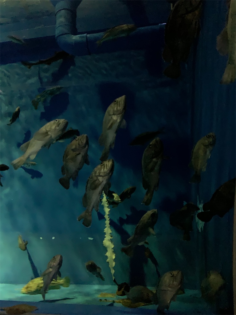 f:id:chiki-chiki_odekake:20200501085455j:image f:id:chiki-chiki_odekake:20200501085455j:image