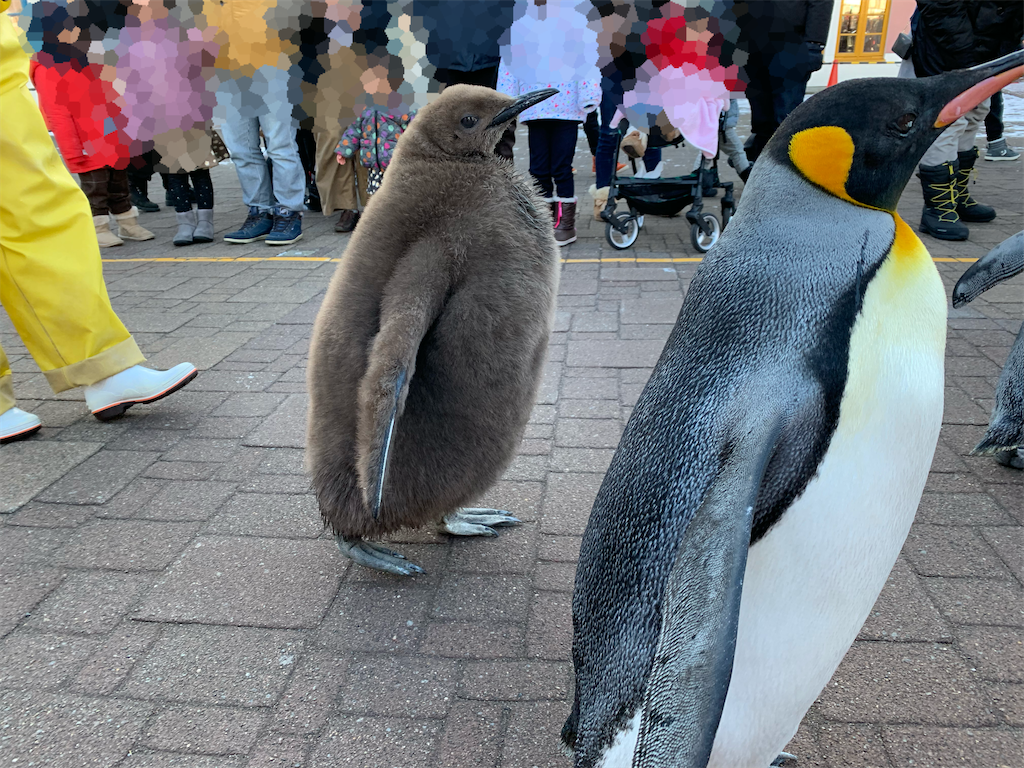 f:id:chiki-chiki_odekake:20200501090007p:image f:id:chiki-chiki_odekake:20200501090007p:image