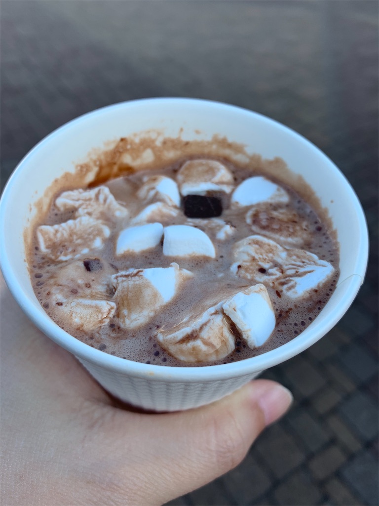 f:id:chiki-chiki_odekake:20200501090028j:image f:id:chiki-chiki_odekake:20200501090028j:image