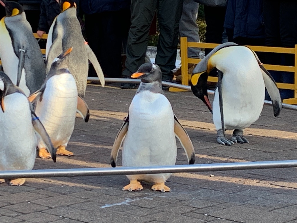 f:id:chiki-chiki_odekake:20200501090031j:image f:id:chiki-chiki_odekake:20200501090031j:image