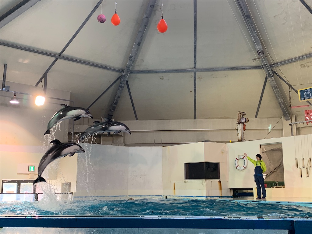 f:id:chiki-chiki_odekake:20200502224852j:image f:id:chiki-chiki_odekake:20200502224852j:image