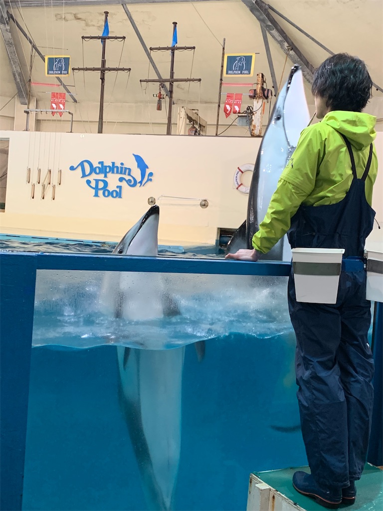 f:id:chiki-chiki_odekake:20200502224855j:image f:id:chiki-chiki_odekake:20200502224855j:image