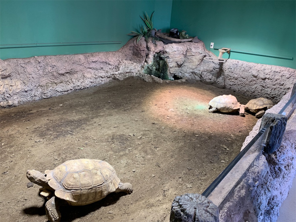 f:id:chiki-chiki_odekake:20200503094949j:image f:id:chiki-chiki_odekake:20200503094949j:image