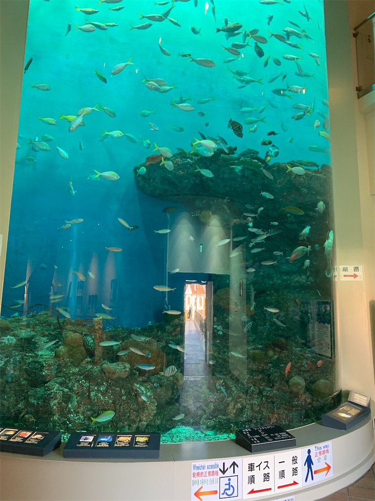 f:id:chiki-chiki_odekake:20200503100008j:image f:id:chiki-chiki_odekake:20200503100008j:image