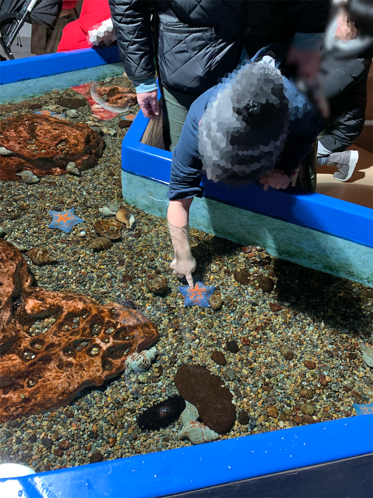 f:id:chiki-chiki_odekake:20200503190626p:image f:id:chiki-chiki_odekake:20200503190626p:image