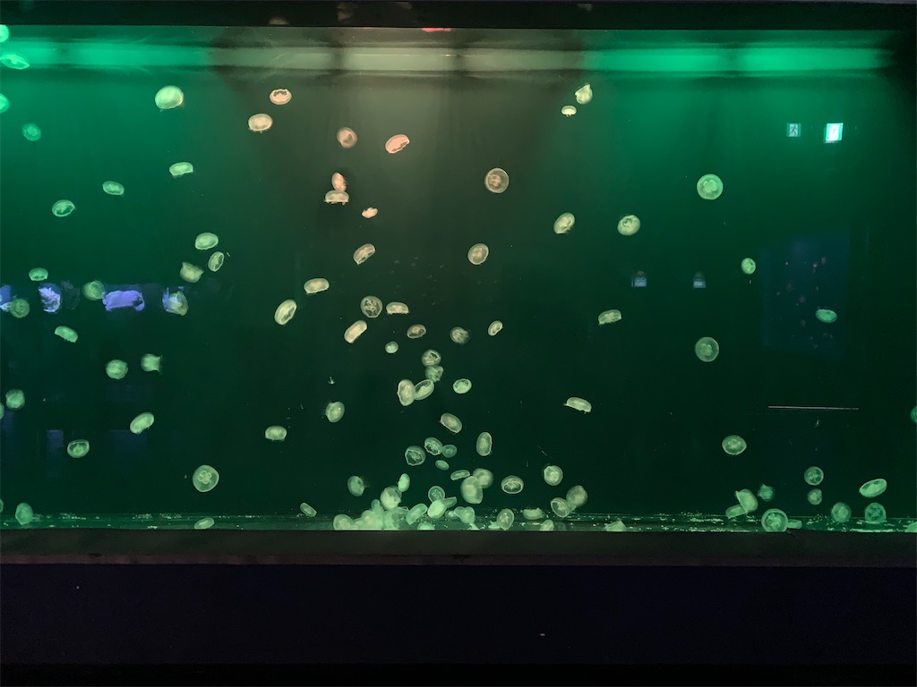 f:id:chiki-chiki_odekake:20200504004651j:image f:id:chiki-chiki_odekake:20200504004651j:image