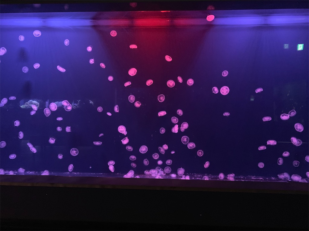 f:id:chiki-chiki_odekake:20200504004658j:image f:id:chiki-chiki_odekake:20200504004658j:image