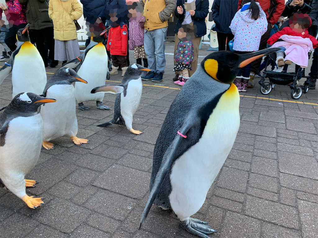 f:id:chiki-chiki_odekake:20200504105006p:image f:id:chiki-chiki_odekake:20200504105006p:image