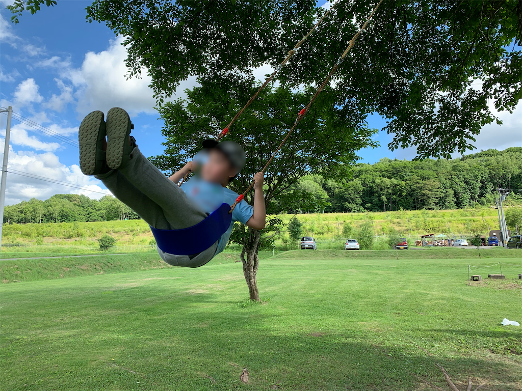 f:id:chiki-chiki_odekake:20200906100840p:image