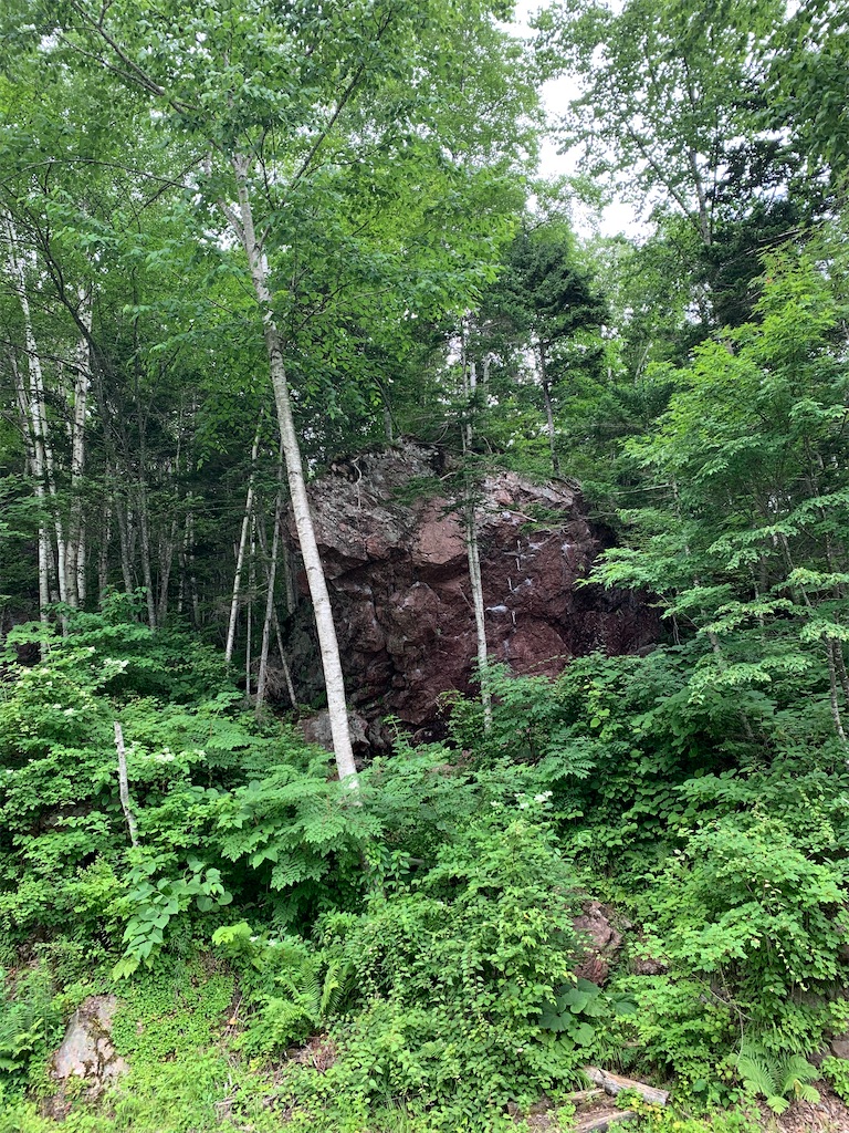 f:id:chiki-chiki_odekake:20200911234857j:image f:id:chiki-chiki_odekake:20200911234857j:image