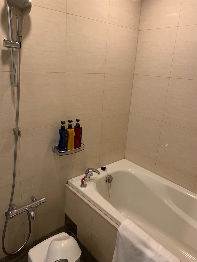 f:id:chiki-chiki_odekake:20201010075757j:image