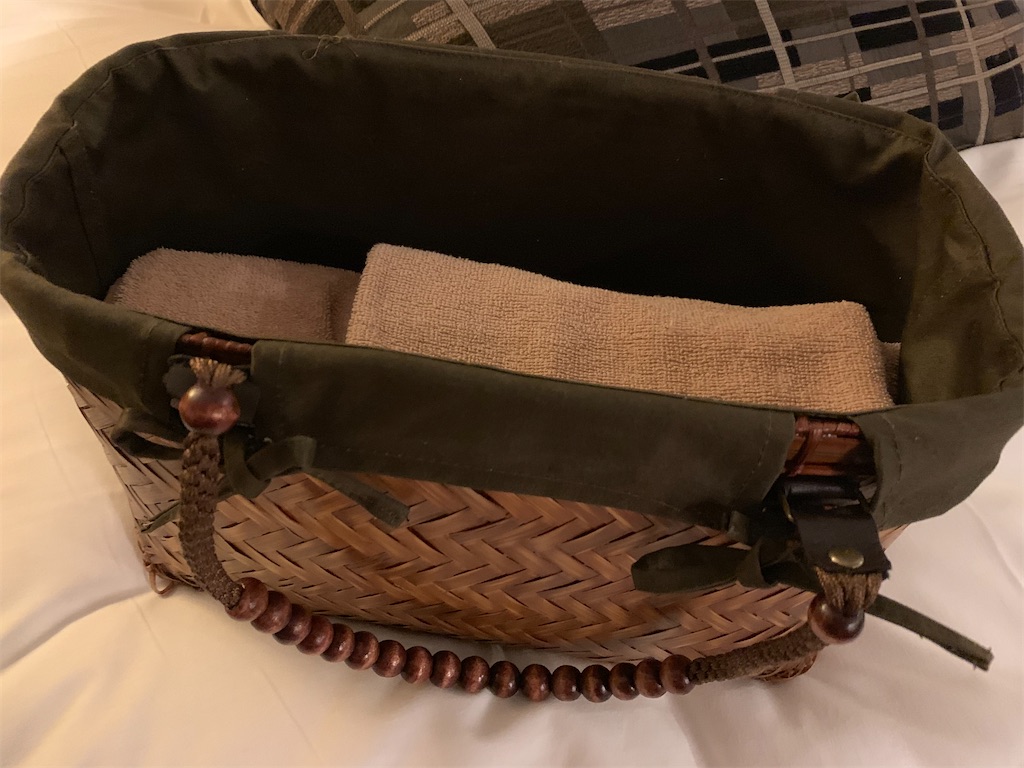 f:id:chiki-chiki_odekake:20201014204616j:image