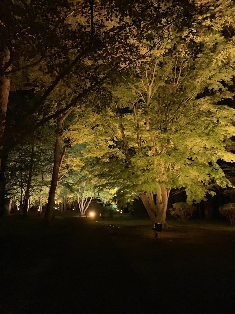 f:id:chiki-chiki_odekake:20201015224537j:image