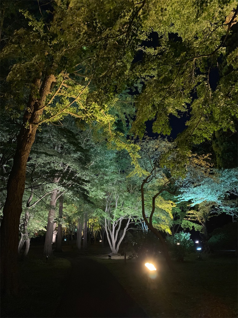 f:id:chiki-chiki_odekake:20201015224544j:image