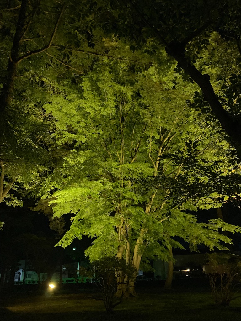 f:id:chiki-chiki_odekake:20201015224555j:image