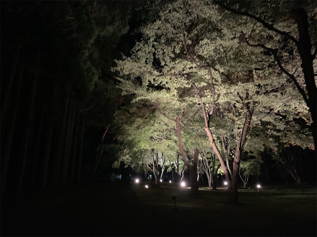 f:id:chiki-chiki_odekake:20201015224558j:image