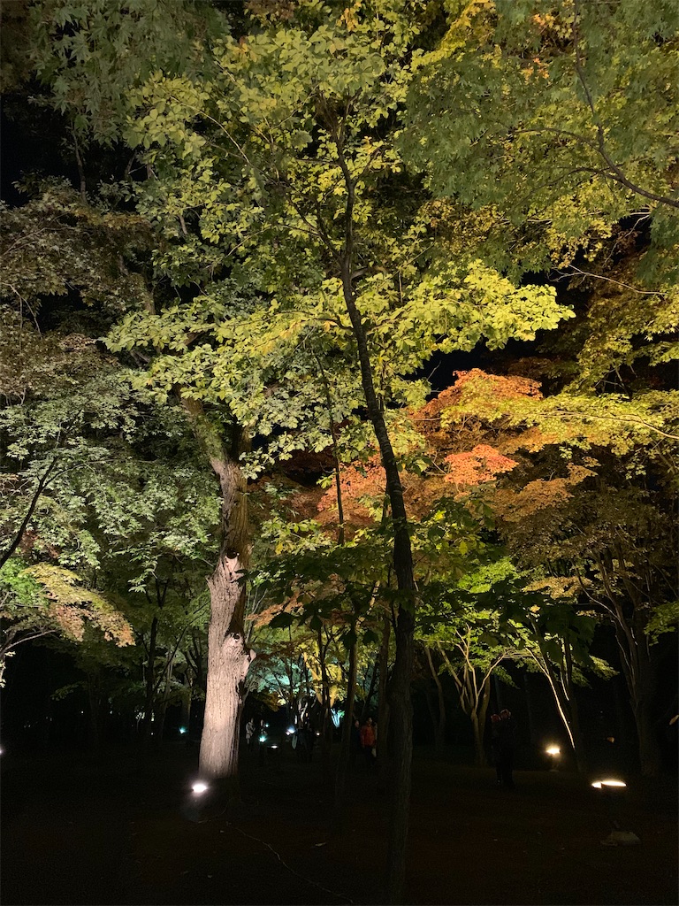 f:id:chiki-chiki_odekake:20201015224602j:image