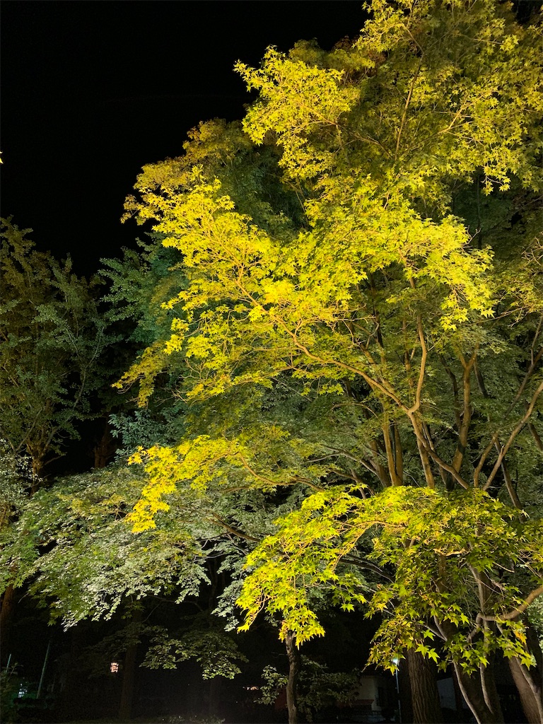 f:id:chiki-chiki_odekake:20201015224618j:image