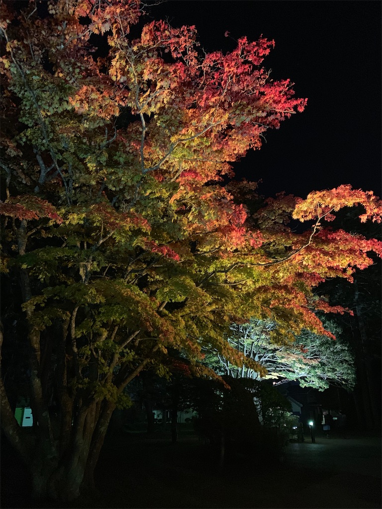 f:id:chiki-chiki_odekake:20201015224624j:image