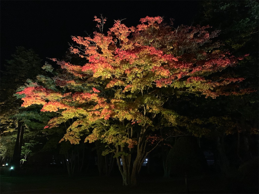 f:id:chiki-chiki_odekake:20201015224629j:image