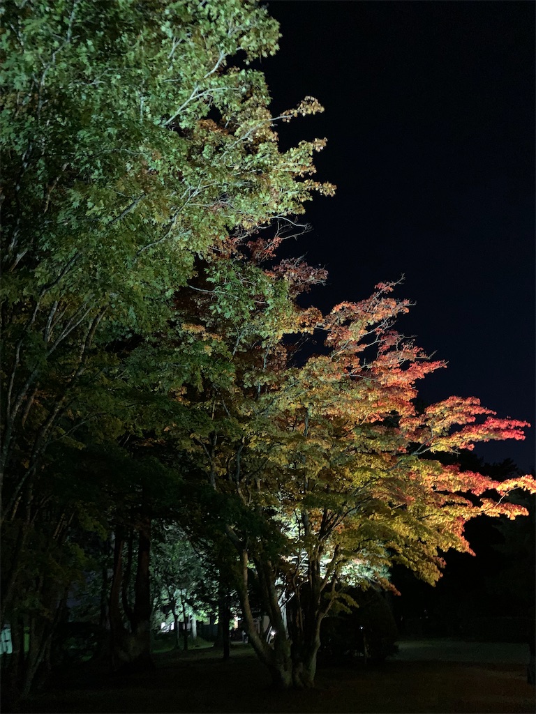 f:id:chiki-chiki_odekake:20201015224633j:image