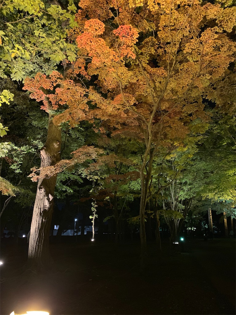 f:id:chiki-chiki_odekake:20201015224641j:image