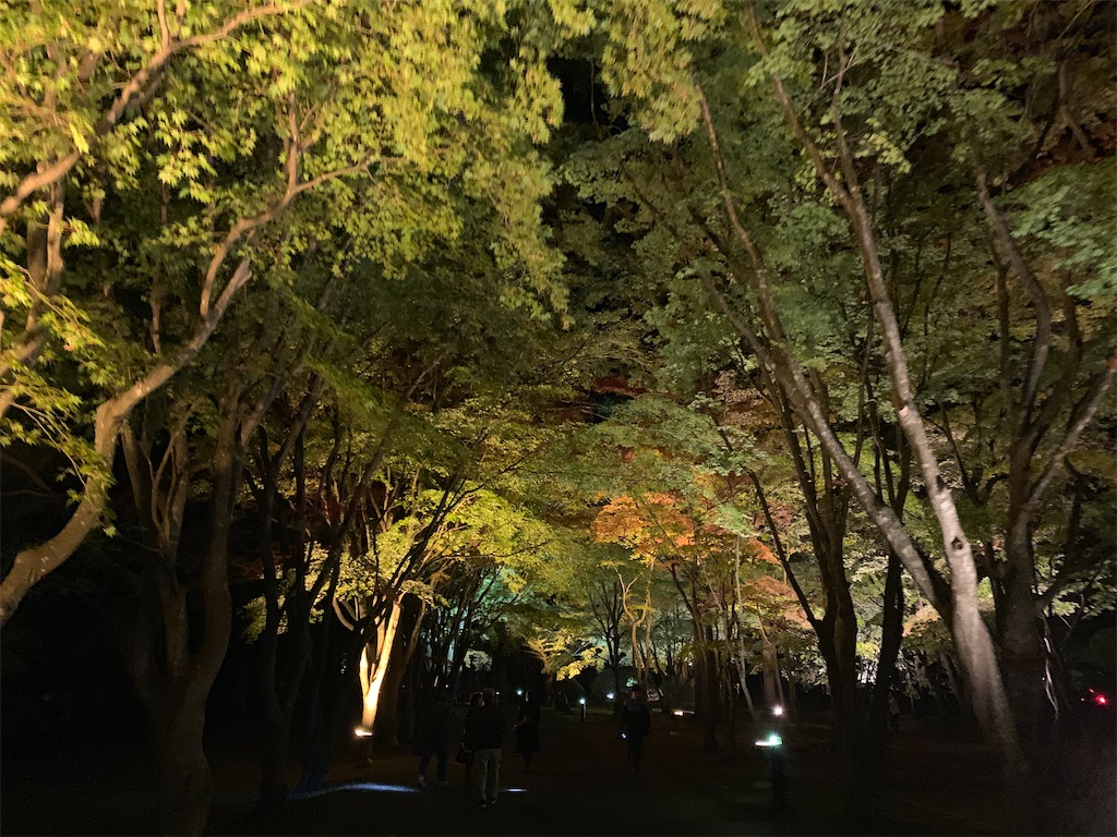 f:id:chiki-chiki_odekake:20201015224654j:image