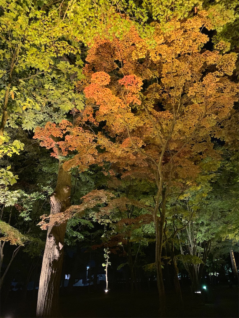 f:id:chiki-chiki_odekake:20201015224716j:image