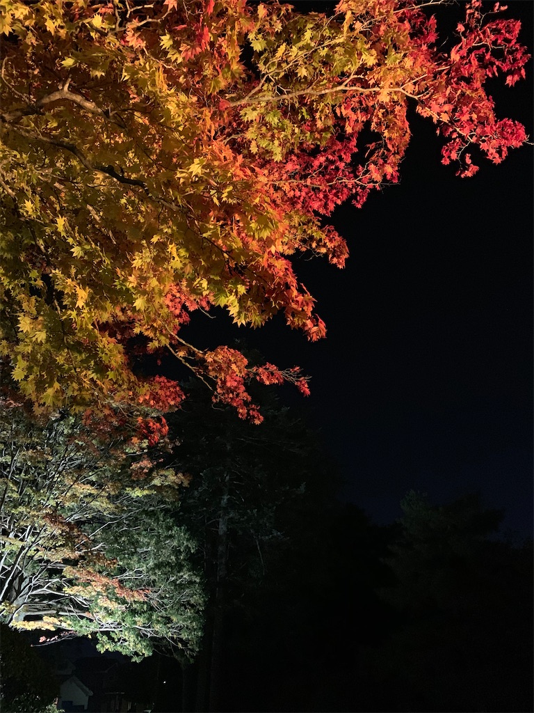 f:id:chiki-chiki_odekake:20201015224720j:image